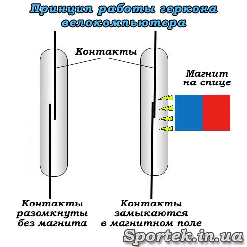 Принцып работы геркона на велокомпьютере