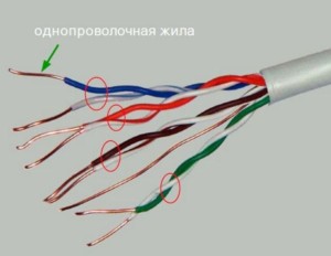  Жила с одним проводом